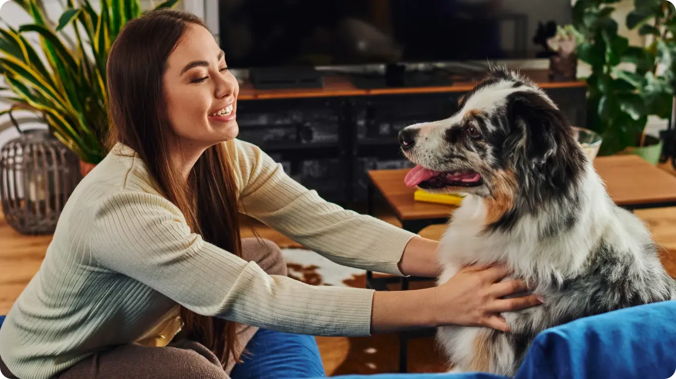 Opieka nad psem  -Dowiedz się ile kosztuje opieka nad psem