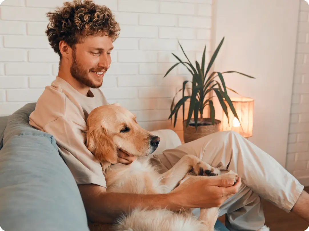 Petsitter -Dowiedz się ile kosztuje petsitter