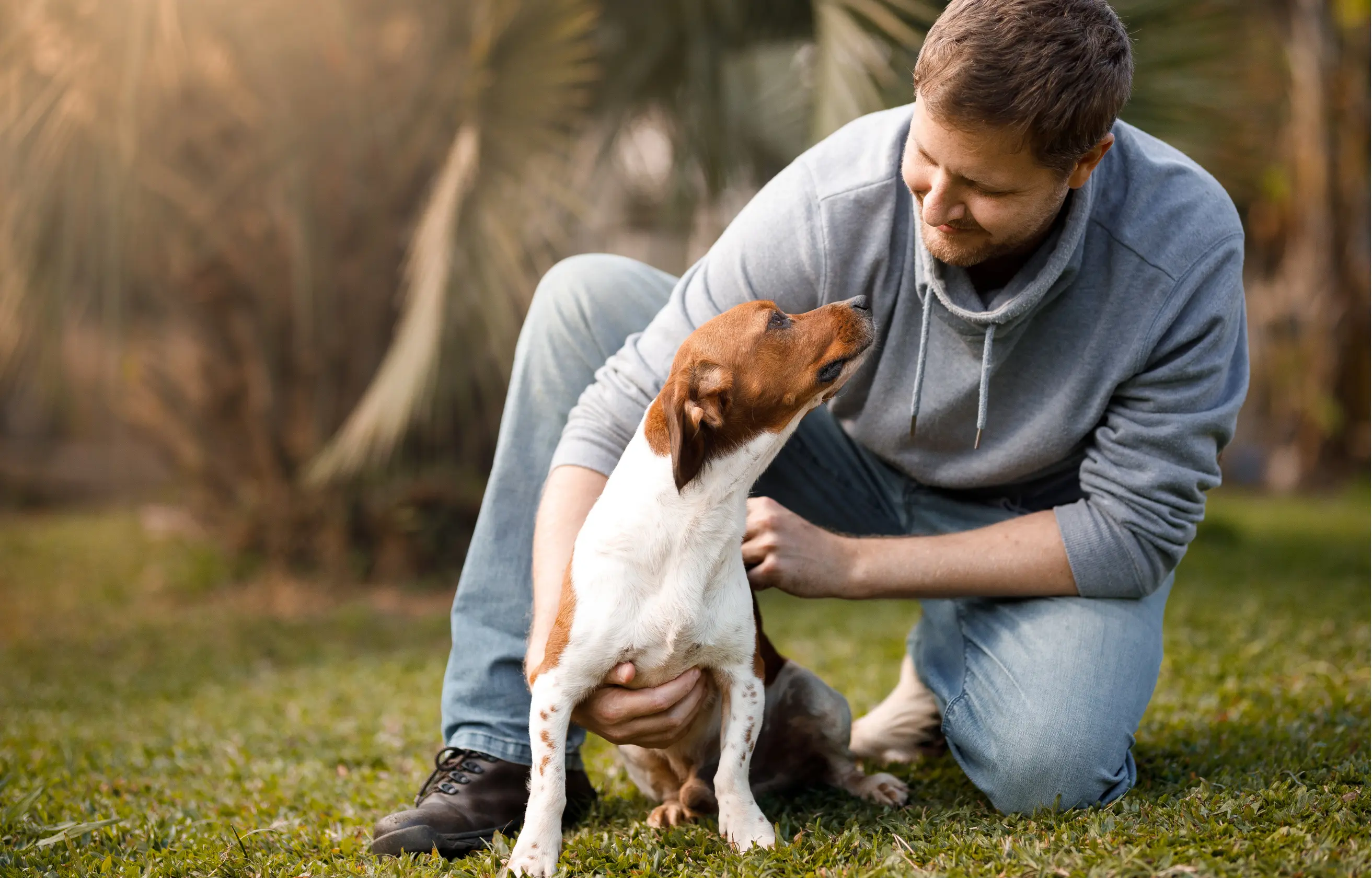 Przygotowanie psa do pobytu w domowym hotelu w Płocku