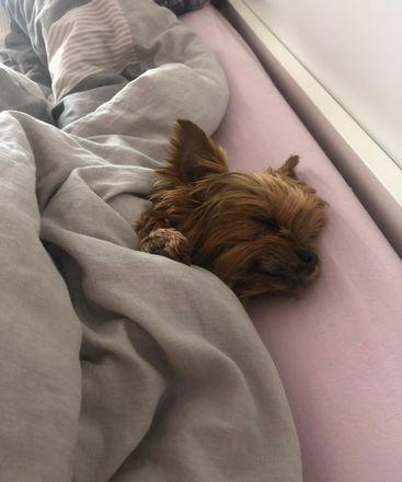 Roxy