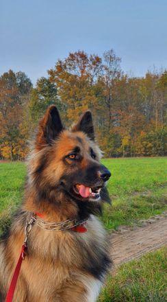 Xena