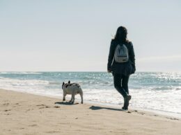 Bezpieczne spacery: Jak unikać agresji psa wobec innych czworonogów?