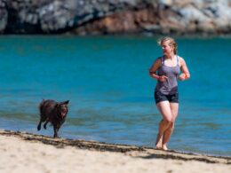 Canicross: Jak zacząć wspólne bieganie z psem i wybrać odpowiedni sprzęt?