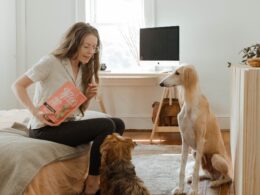 Jak nauczyć psa komendy “siad”: Skuteczne porady dla właścicieli