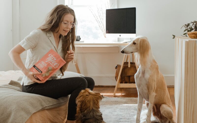 Jak nauczyć psa komendy “siad”: Skuteczne porady dla właścicieli