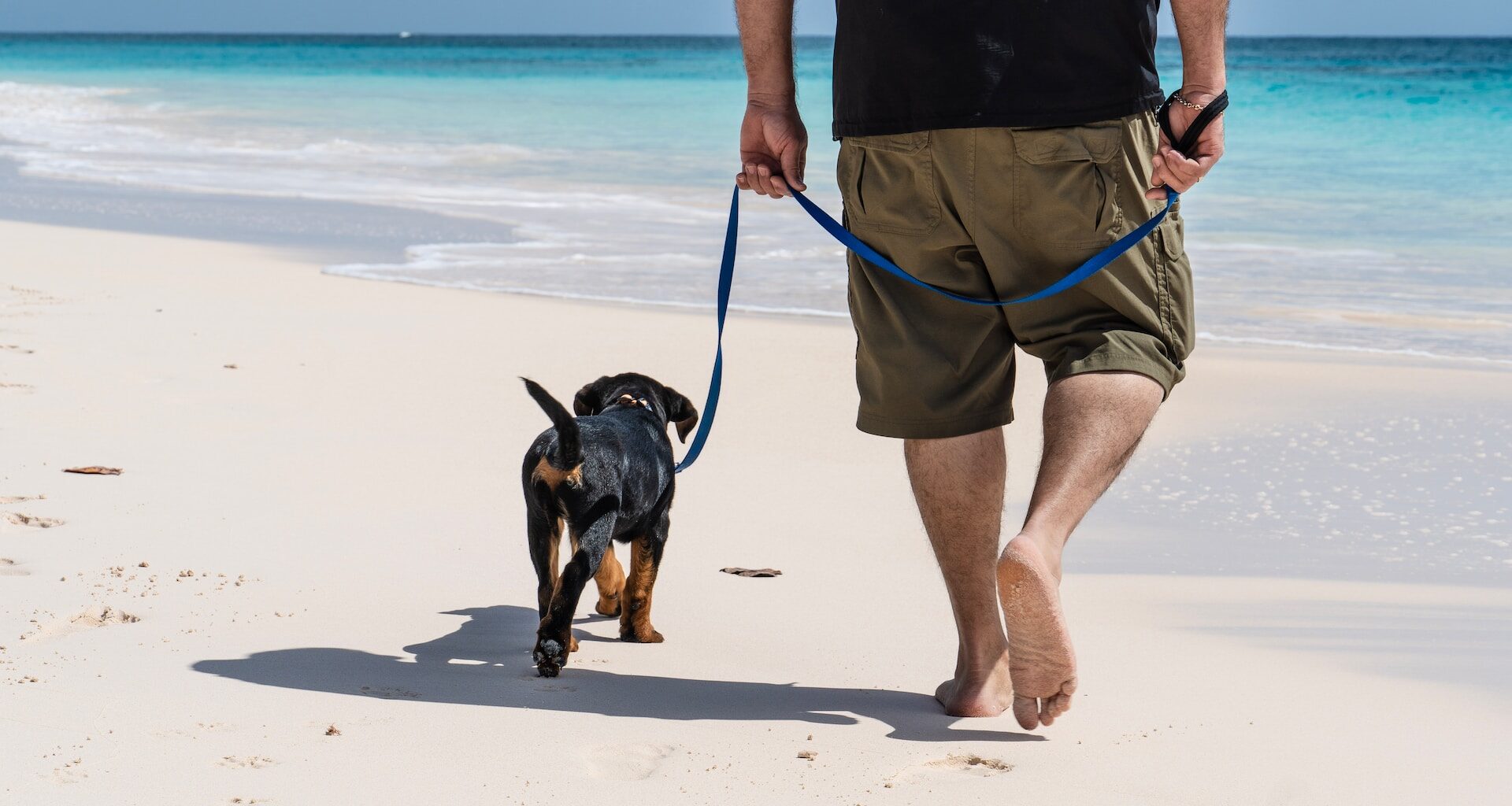pies na plaży idący na smyczy ze swoim panem