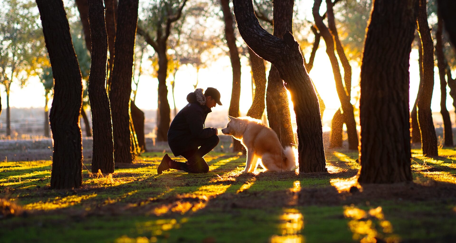 człowiek i pies w lesie podczas wschodu słońca