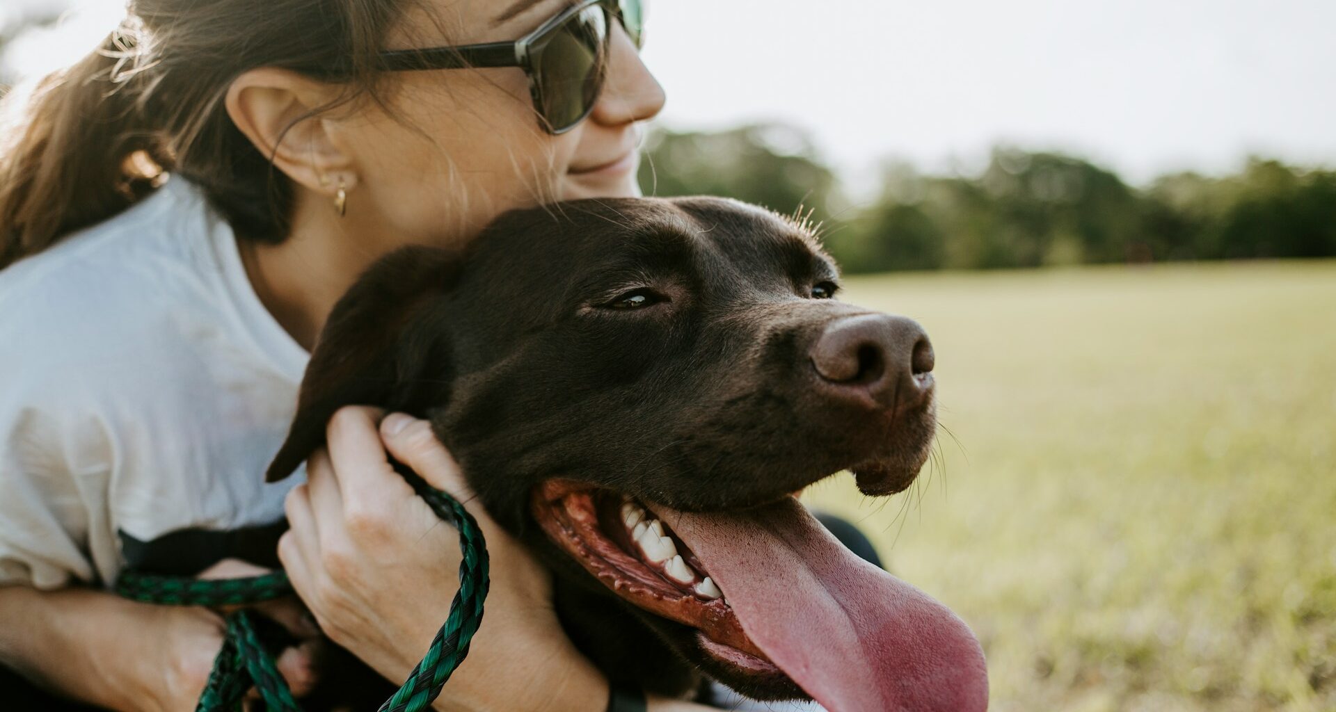 kobieta z psem, przytulająca brązowego labradora