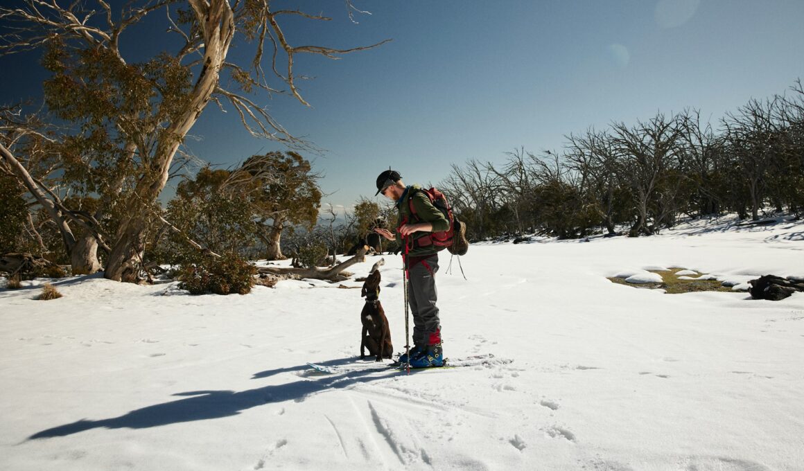 czeskie góry z psem