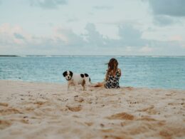 Gdzie na wakacje z psem za granicą? Słoneczne plaże, malownicze góry i inne atrakcje dla psich podróżników