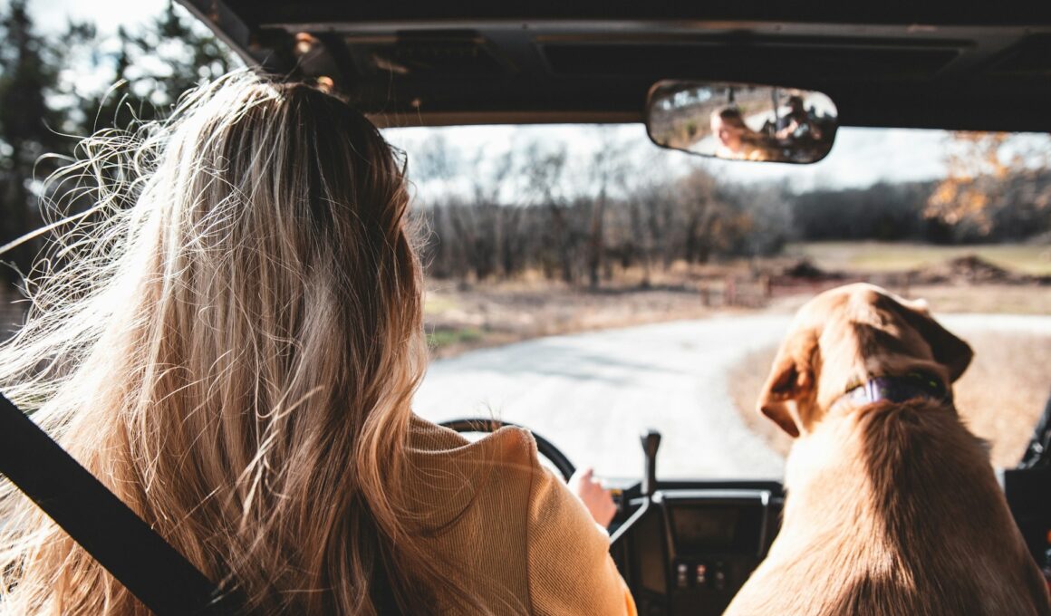 gdzie wyskoczyć na weekend z psem w polsce