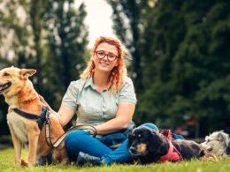 PetsyCare — odświeżamy pakiet, który chroni wszystkich