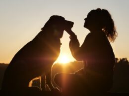 Behawiorystyka zwierząt – na czym polega i jak pomaga w wychowaniu pupila