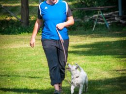 Jak oduczyć psa skakania na ludzi i domowników – skuteczne metody treningu