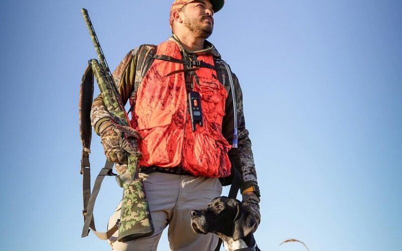 Pies gończy – charakterystyka, wychowanie i porady dla przyszłych właścicieli