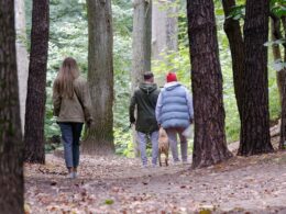 Szelki czy obroża – co wybrać dla psa? Porównanie zalet i wad